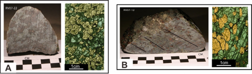 图1. (A)Type I榴辉岩。石榴石中含有大量的熔流体包裹体；(B)TypeII榴辉岩。石榴石中没有发现熔流体包裹体
